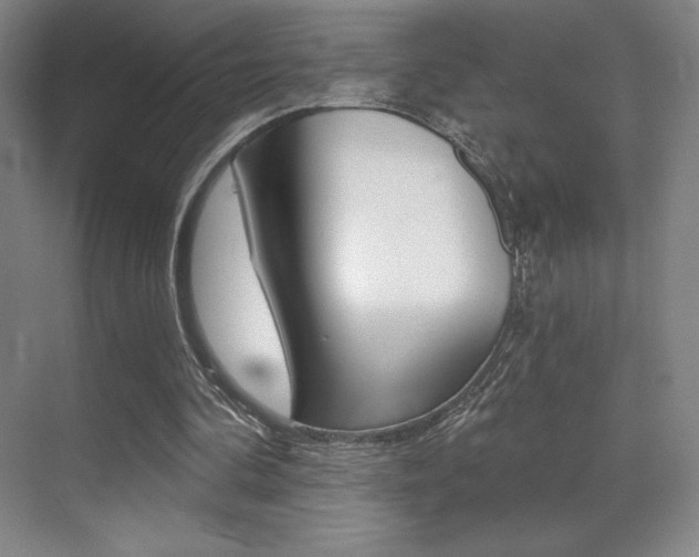 X0000070240292200606020940
