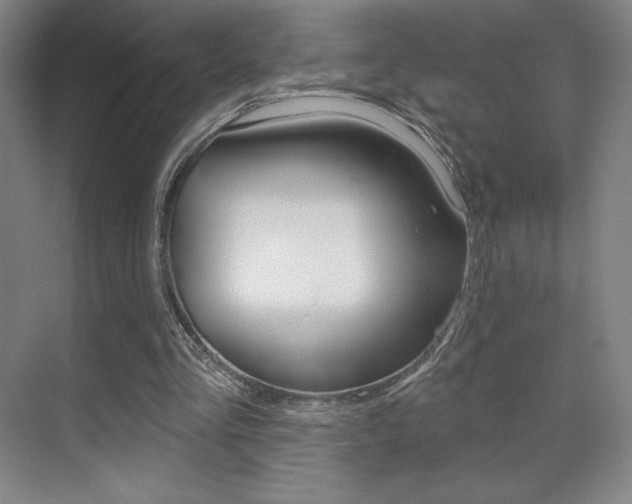 X0000070240293200606020940