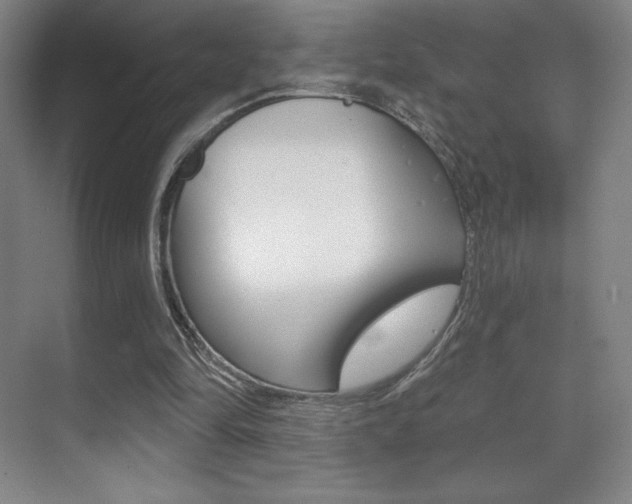 X0000070240294200606020940