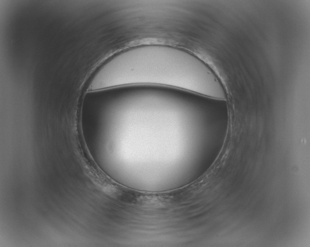 X0000070240297200606020940