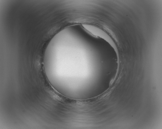 X0000070240305200606020939