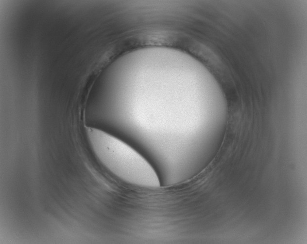 X0000070240310200606020939
