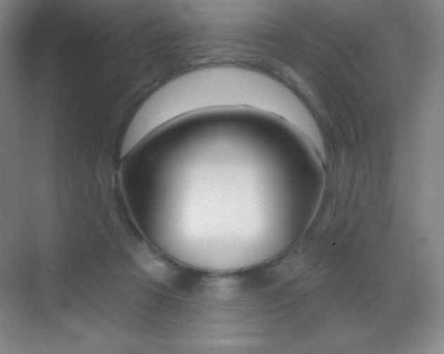 X0000070240313200606020939
