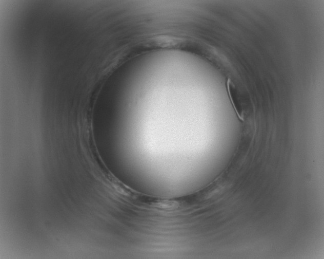X0000070240317200606020939