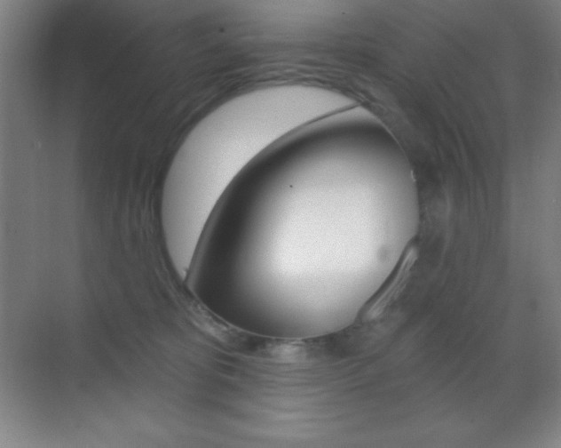 X0000070240325200606020939