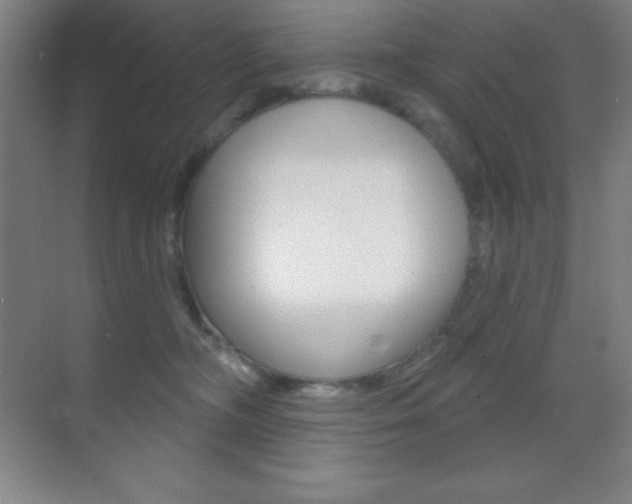 X0000070240326200606020939