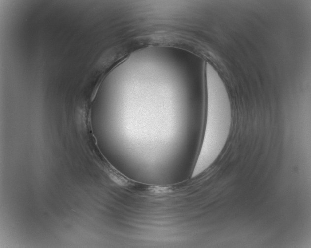 X0000070240333200606020939