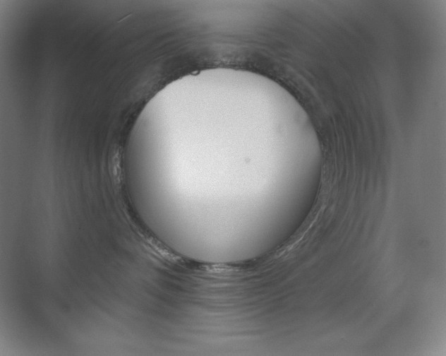 X0000070240336200606020939