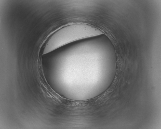 X0000070240338200606020938