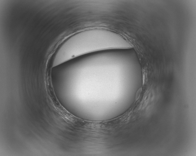 X0000070240339200606020938