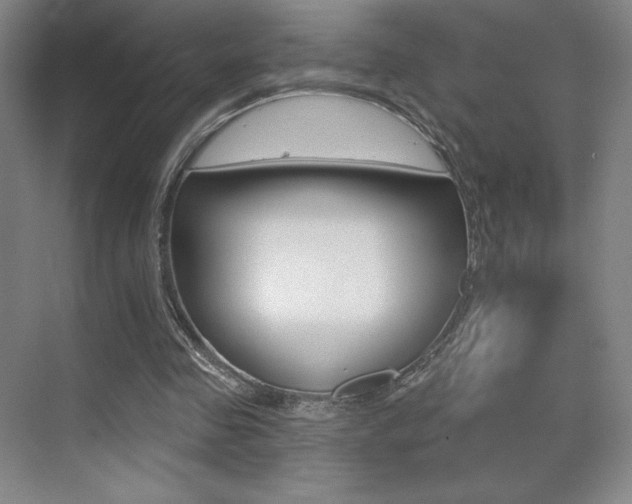 X0000070240341200606020938