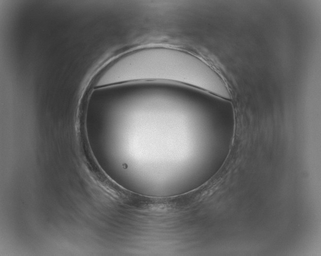 X0000070240344200606020938