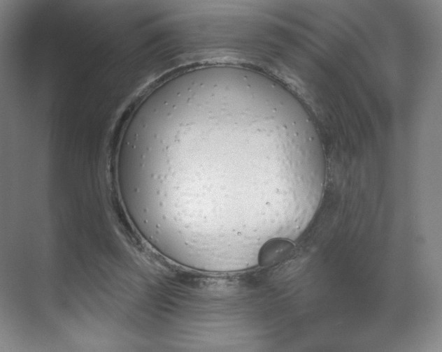 X0000070240347200606020938