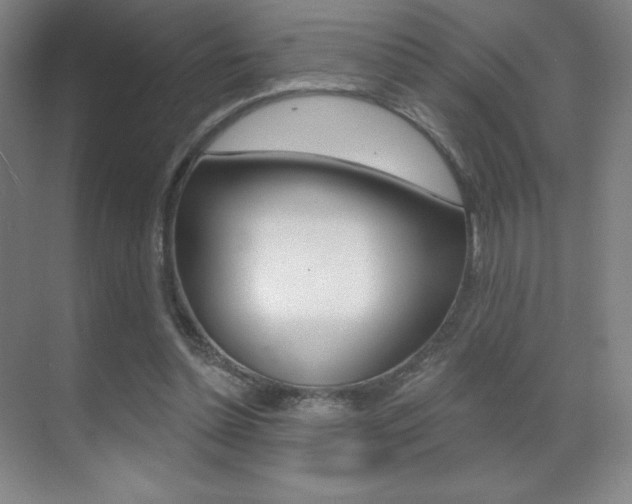 X0000070240348200606020938