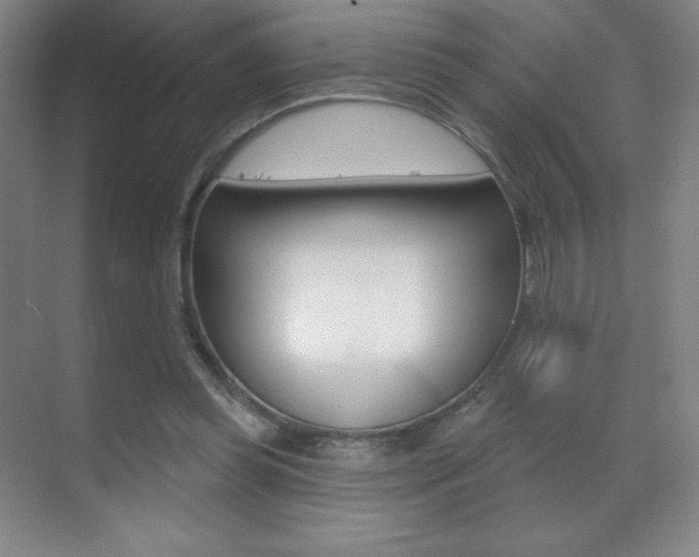 X0000070240349200606020938