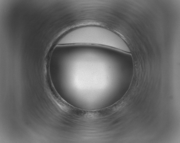 X0000070240350200606020938