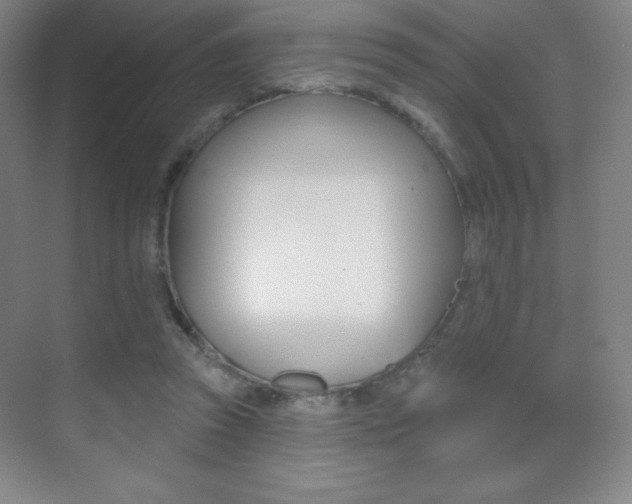 X0000070240353200606020938