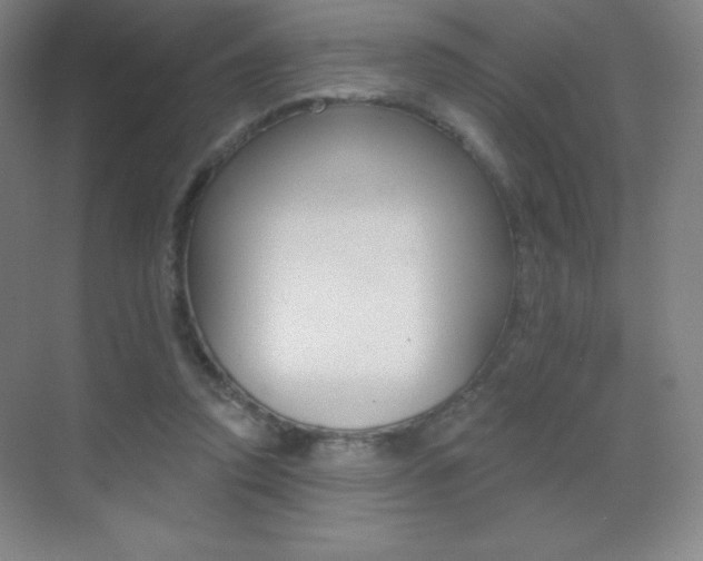X0000070240354200606020938