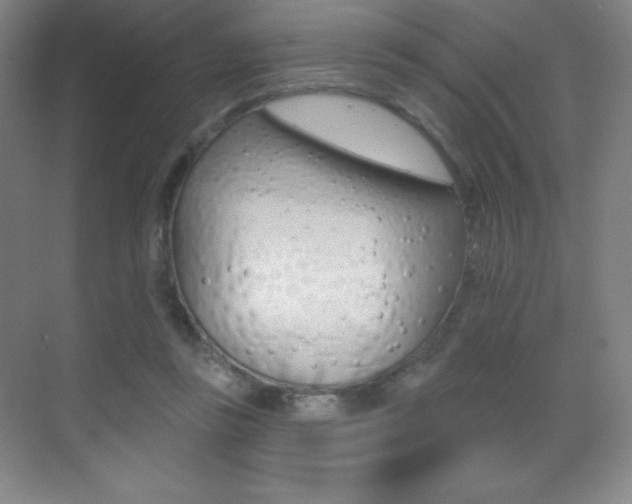 X0000070240355200606020938