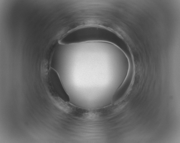 X0000070240356200606020938