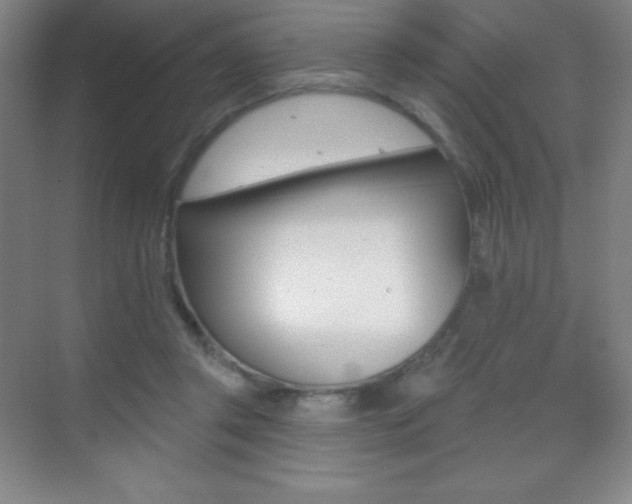 X0000070240357200606020938