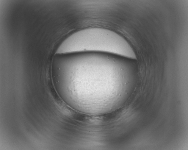 X0000070240359200606020939