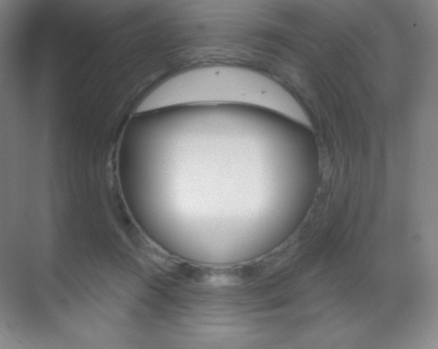 X0000070240360200606020939