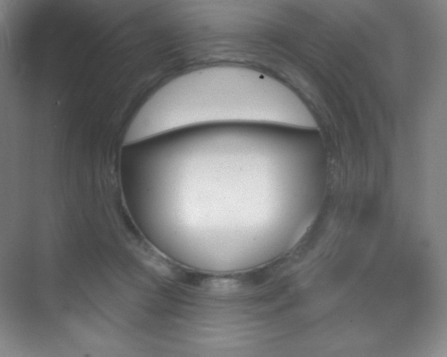 X0000070240361200606020939