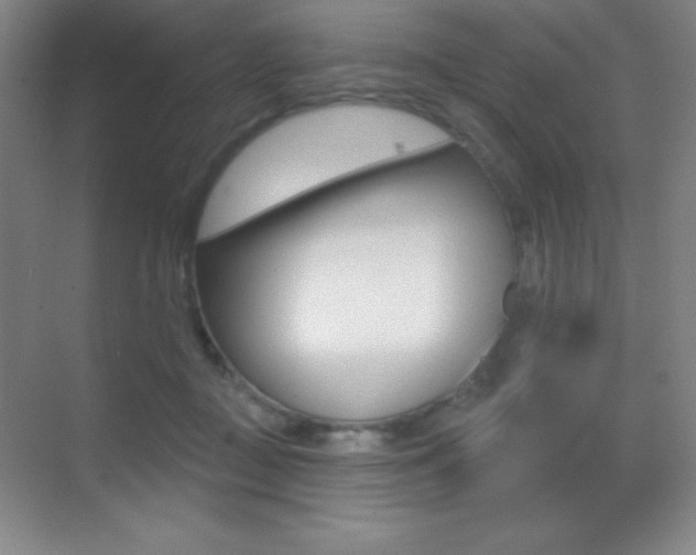 X0000070240363200606020939
