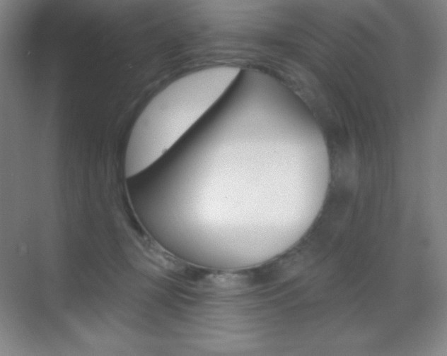 X0000070240367200606020939