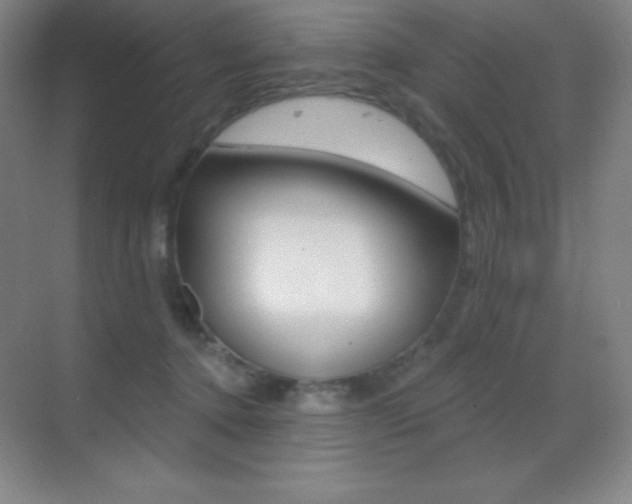X0000070240368200606020939