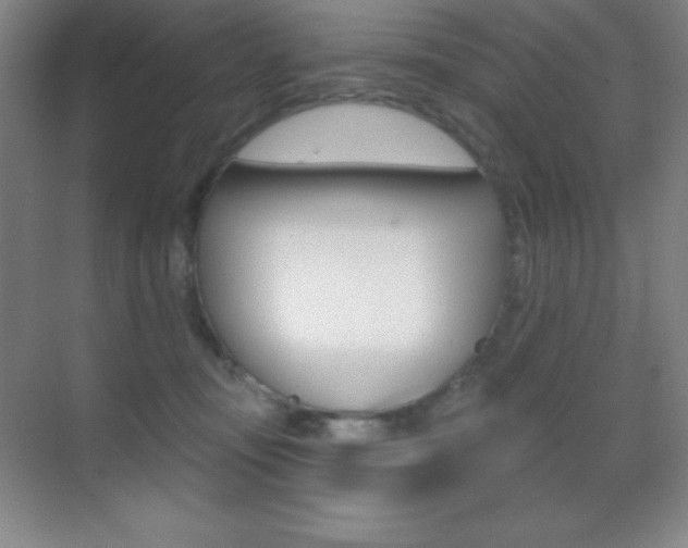 X0000070240371200606020939