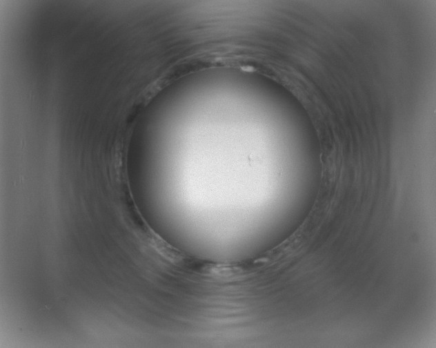 X0000070240372200606020939