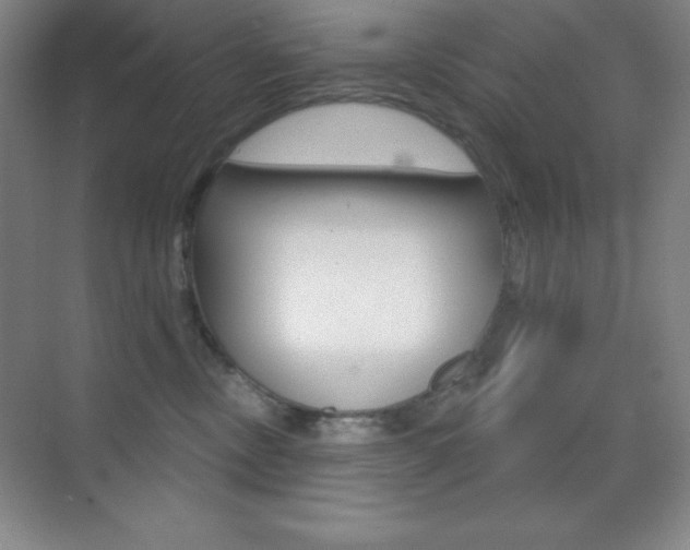 X0000070240378200606020939