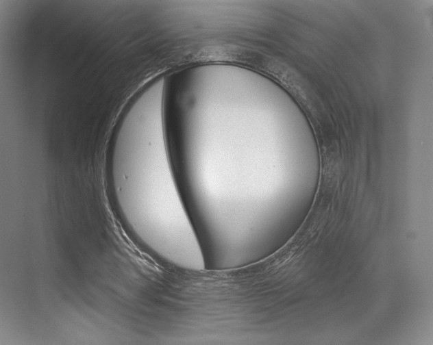 X0000070240386200606020938