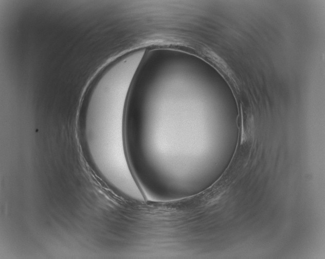 X0000070240387200606020938