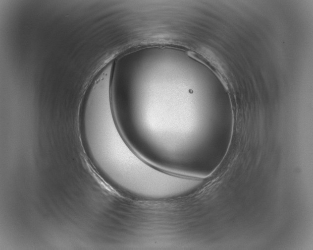 X0000070240389200606020938
