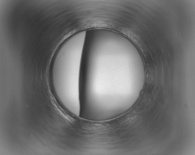 X0000070240390200606020938