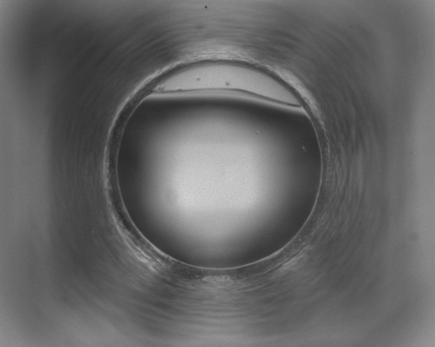 X0000070240391200606020938