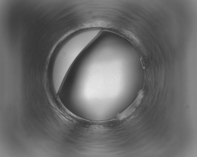 X0000070240392200606020938