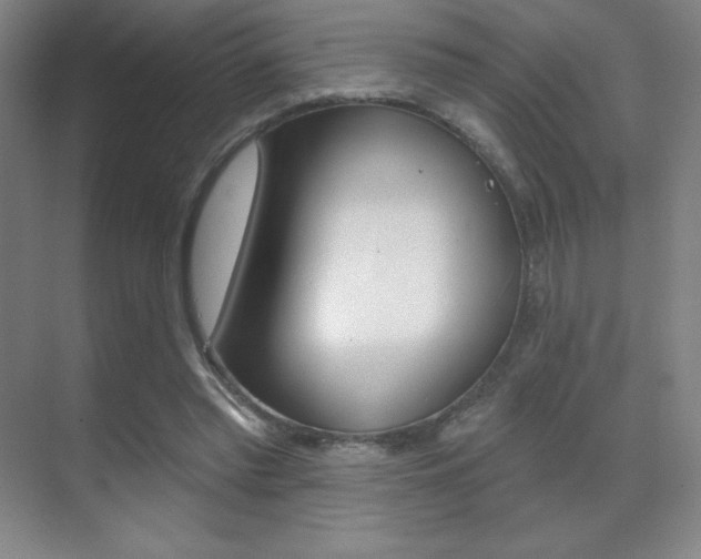X0000070240397200606020938
