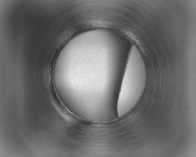 X0000070240398200606020938