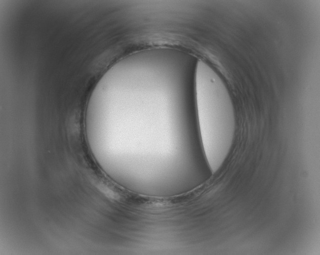 X0000070240402200606020938