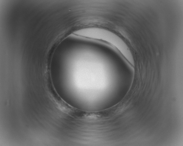 X0000070240407200606020938