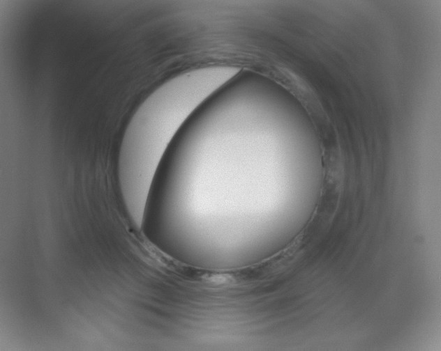 X0000070240409200606020938