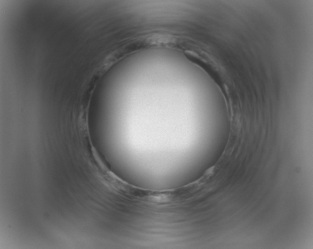 X0000070240411200606020938