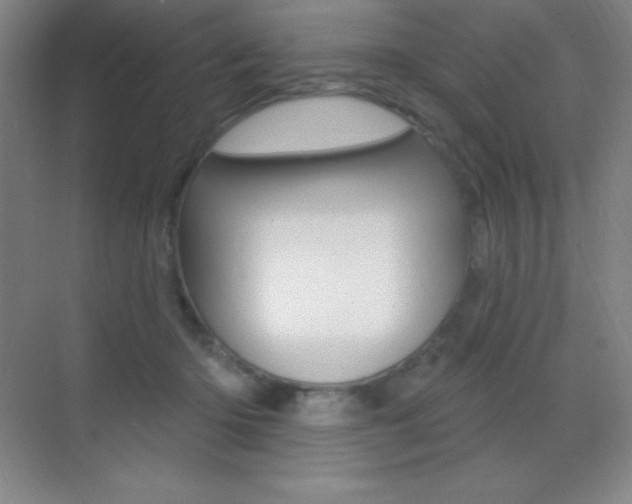 X0000070240414200606020938