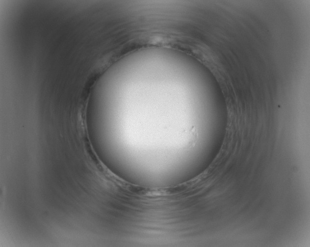 X0000070240415200606020938