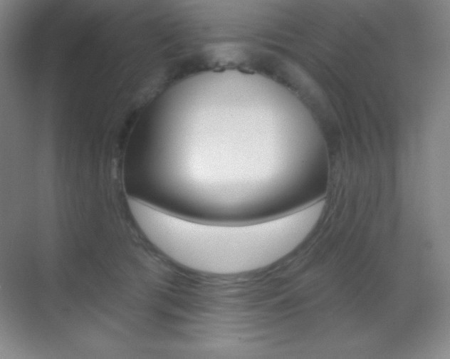 X0000070240417200606020938