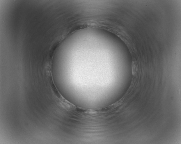 X0000070240419200606020938